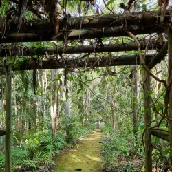 Tondoon Botanic Gardens - Gladstone