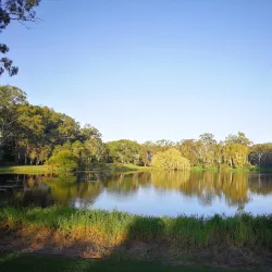 Tondoon Creek Conservation Park - Gladstone