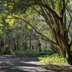 Tondoon Creek Conservation Park - Gladstone