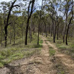 Tondoon Creek Conservation Park - Gladstone