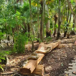 Tondoon Creek Conservation Park - Gladstone