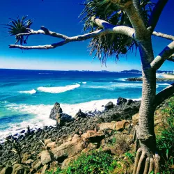 Burleigh Heads National Park - Gold Coast