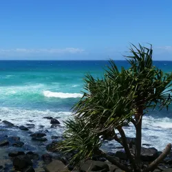 Burleigh Heads National Park - Gold Coast