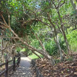 Burleigh Heads National Park - Gold Coast