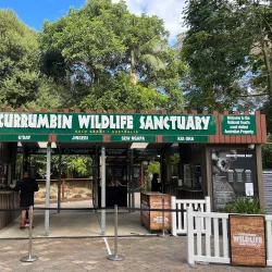 Currumbin Wildlife Sanctuary - Gold Coast
