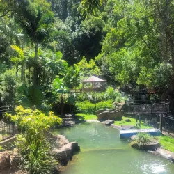 Currumbin Wildlife Sanctuary - Gold Coast