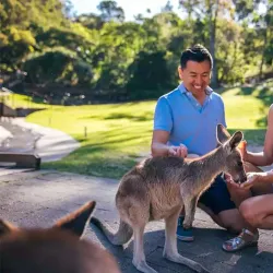 Currumbin Wildlife Sanctuary - Gold Coast