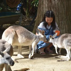 Currumbin Wildlife Sanctuary - Gold Coast