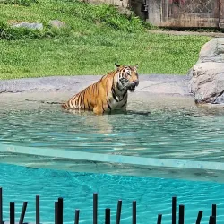 Dreamworld - Gold Coast