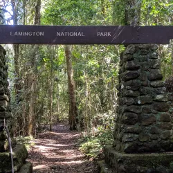 Gold Coast Hinterland Great Walk - Gold Coast