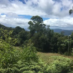 Gold Coast Hinterland Great Walk - Gold Coast