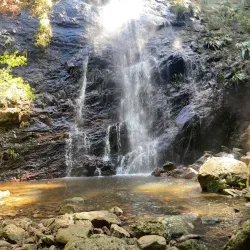 Gold Coast Hinterland Great Walk - Gold Coast