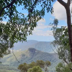 Gold Coast Hinterland Great Walk - Gold Coast