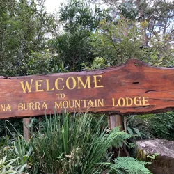 Gold Coast Hinterland Great Walk - Gold Coast