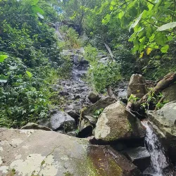 Gold Coast Hinterland Great Walk - Gold Coast