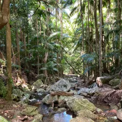 Gold Coast Hinterland Great Walk - Gold Coast