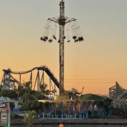 Sea World Gold Coast - Gold Coast