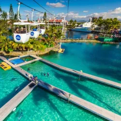 Sea World Gold Coast - Gold Coast