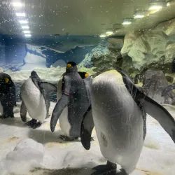 Sea World Gold Coast - Gold Coast