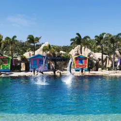 Sea World Gold Coast - Gold Coast