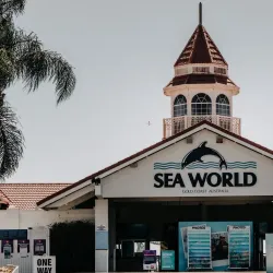 Sea World Gold Coast - Gold Coast