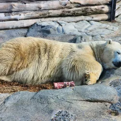 Sea World Gold Coast - Gold Coast