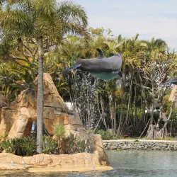 Sea World Gold Coast - Gold Coast