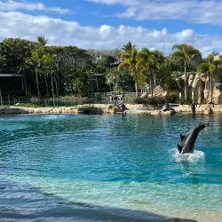 Sea World Gold Coast - Gold Coast