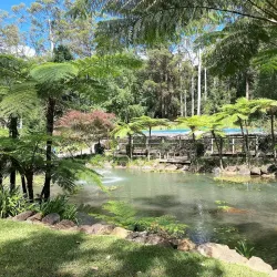 Tamborine Mountain - Gold Coast