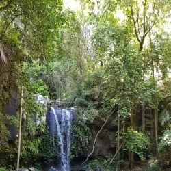 Tamborine Mountain - Gold Coast