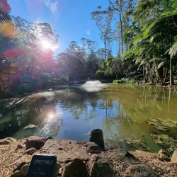 Tamborine Mountain - Gold Coast
