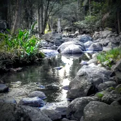 Tamborine Mountain - Gold Coast