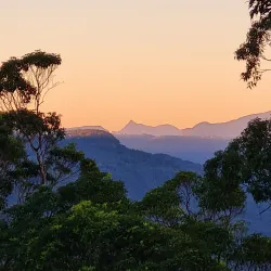 Tamborine Mountain - Gold Coast