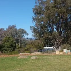 Goondiwindi Botanic Gardens - Goondiwindi