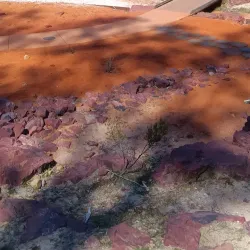 Goondiwindi Botanic Gardens - Goondiwindi