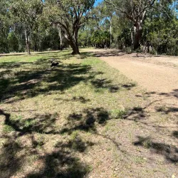 Goondiwindi Botanic Gardens - Goondiwindi