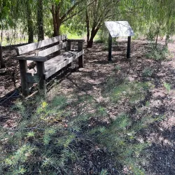 Goondiwindi Botanic Gardens - Goondiwindi