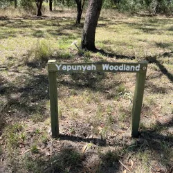 Goondiwindi Botanic Gardens - Goondiwindi