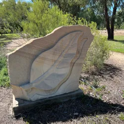 Goondiwindi Botanic Gardens - Goondiwindi