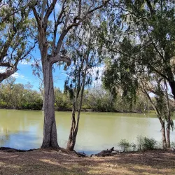 Goondiwindi Riverside Walk - Goondiwindi