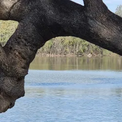 Goondiwindi Riverside Walk - Goondiwindi