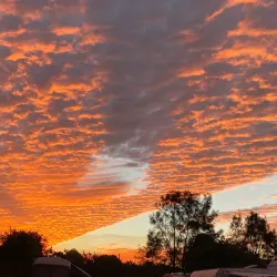 Goondiwindi Showgrounds - Goondiwindi