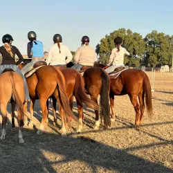 Goondiwindi Showgrounds - Goondiwindi