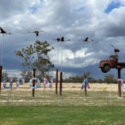 Goondiwindi Showgrounds - Goondiwindi