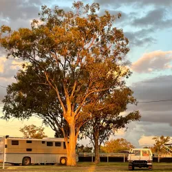 Goondiwindi Showgrounds - Goondiwindi