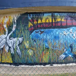 Goondiwindi Visitor Information Centre - Goondiwindi