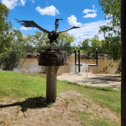 Macintyre River - Goondiwindi
