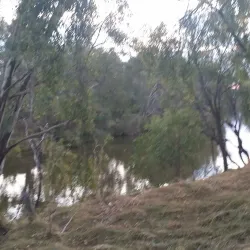 Macintyre River - Goondiwindi