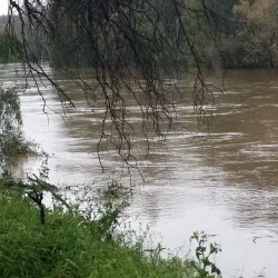 Macintyre River - Goondiwindi