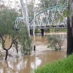 Macintyre River - Goondiwindi